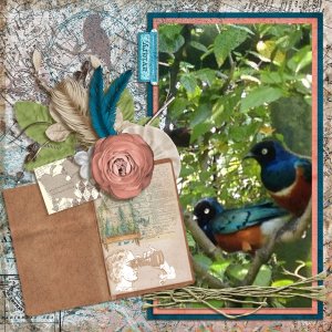 Aviary