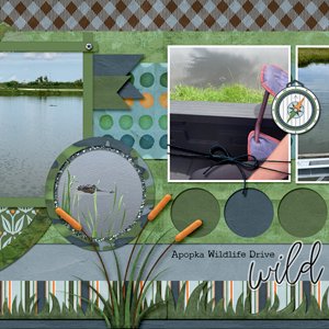Apopka Wildlife Drive