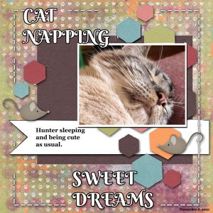 Cat Napping