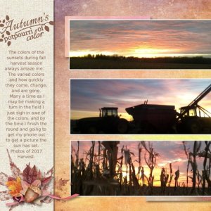Harvest sunsets
