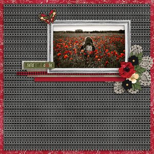 Poppies