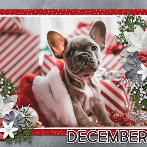 December Calendar