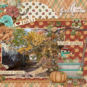 COUNTRY AUTUMN