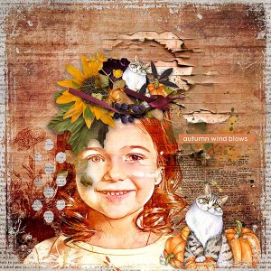 cwx_MildWind_lo01