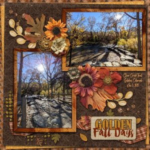Golden Fall Day