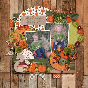 Family Autumn Afternoon