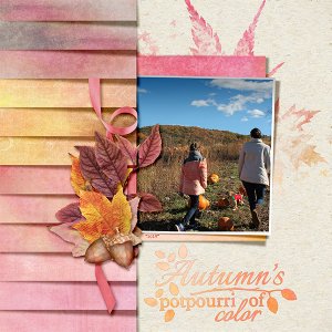 Autumn Colors