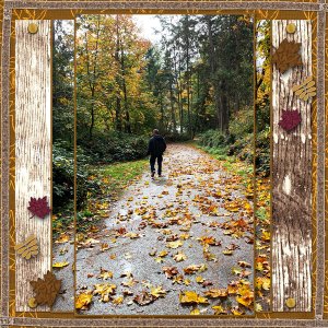 Falling Leaves
