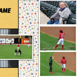 Iron Pigs Game