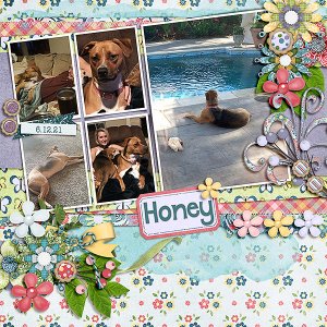 Honey Girl 2