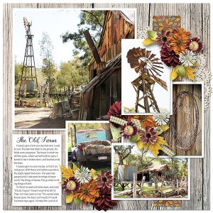 THE OLD FARM