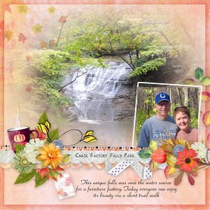 Factory Falls Park