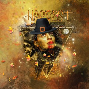 Autumn Harvest
