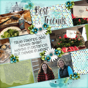 Best Friends (Teri) + after surgery support 11.30.21