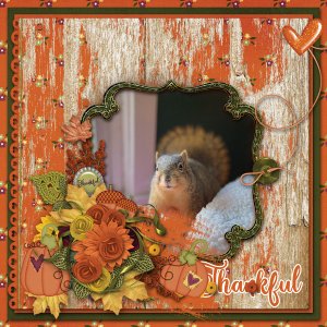 Thankful Hearts