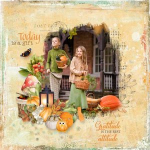 bushel-of-blessing-karen-wa