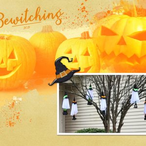 Bewitching