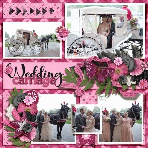 Wedding Carriage