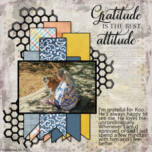GRATITUDE_GRATITUDE