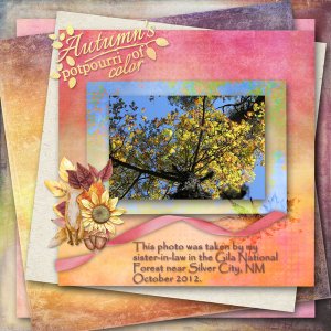 Harvest Sunset Use It All w/Karen Schulz