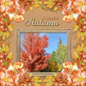 Colorful Autumn