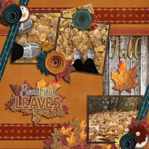 Beautiful Fall Leaves