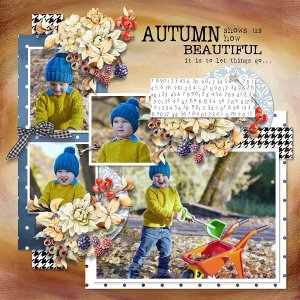 T. Autumn is here 5