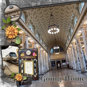 Going Home
