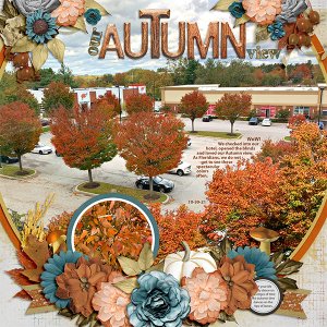 Our Autumn View