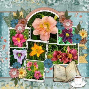 Daylilies