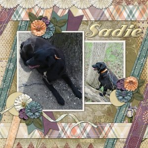 Sadie