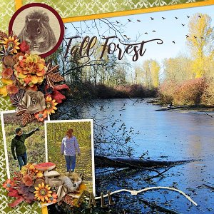 Fall Forest