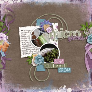 microgreens