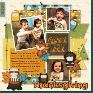 2020 COVID Thanksgiving