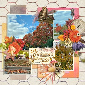 Autumn's Potpourrie of Color