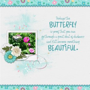 Beautiful Butterfly