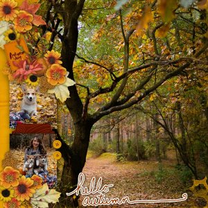 Autumn