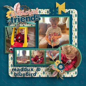 Feathered Friends