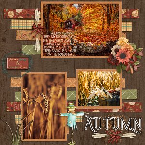 Autumn Delights