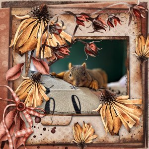 falling leaves
