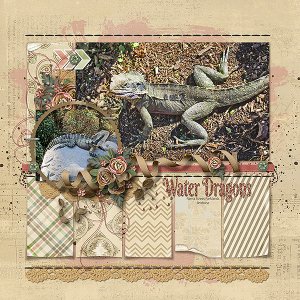 Water Dragons