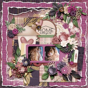 Home Is Where You Are