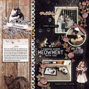 Meowments
