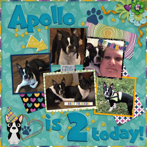 Happy Bday Apollo