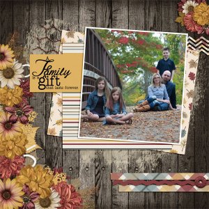 Family_B