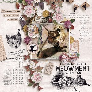 Cat's Gift