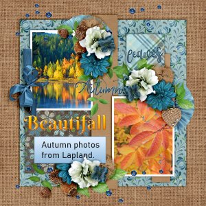 Beautifall2