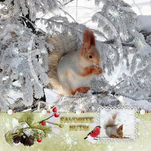 November Scraplift Challenge with Designs by Lisa Minor