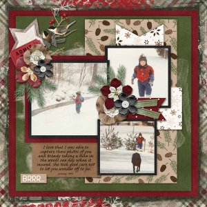 Winter Woods with Forever Young Template #2