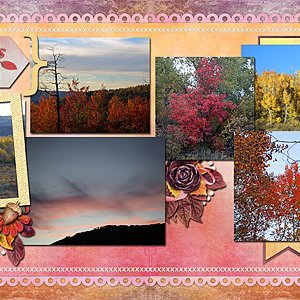 Fall Leaves